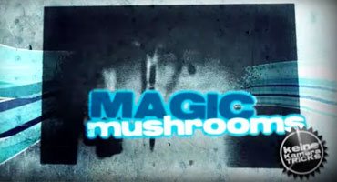 Magic Mushrooms TV Serie ORF
